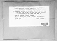 Image Associated With the Occurrence